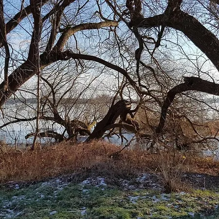 Lägenhet Zur Rose Brandenburg (Brandenburg an der Havel)